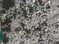 Le cosmos dans le microcosme