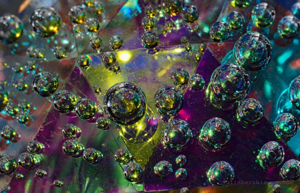 cosmos modifiée