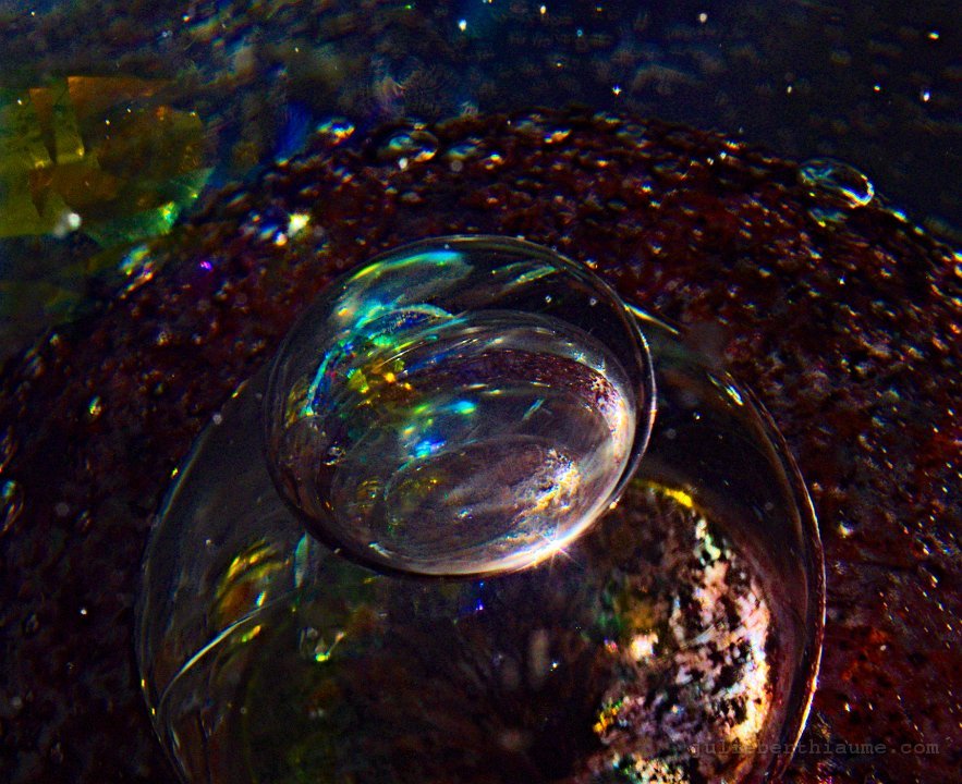 imgp8771 modifiée