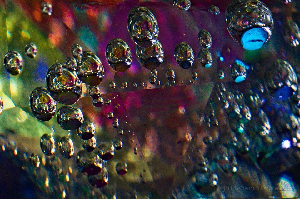 imgp9178 modifiée