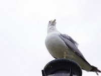 IMGP7843