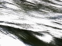 imgp8267-signee
