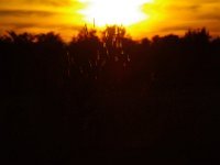 IMGP0854