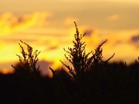 IMGP0892