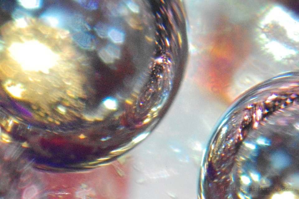 IMGP4670 jolieber999@hotmail