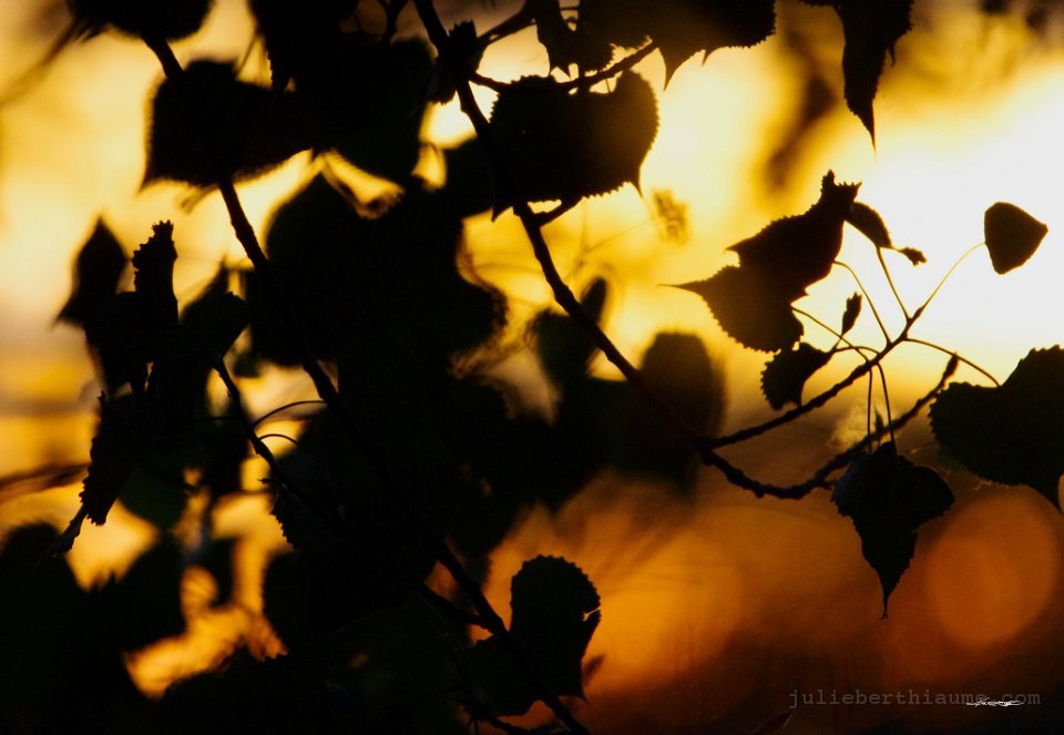 lesberges7 modifiée