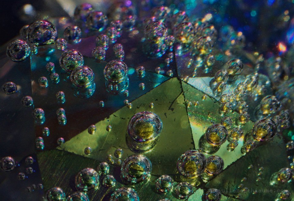 juliekatastroffbulle2 modifiée