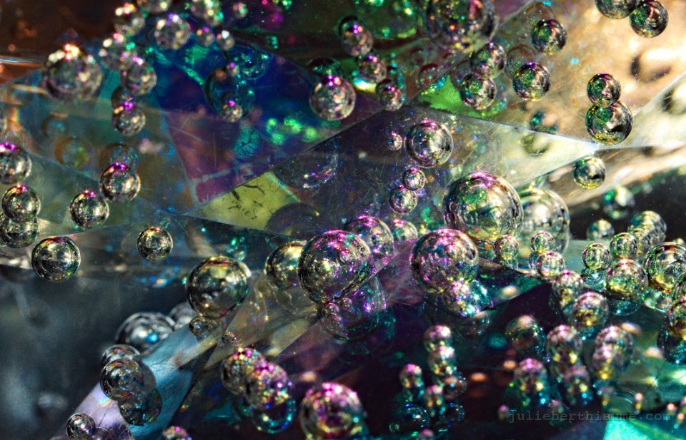 rose-bonbon modifiée