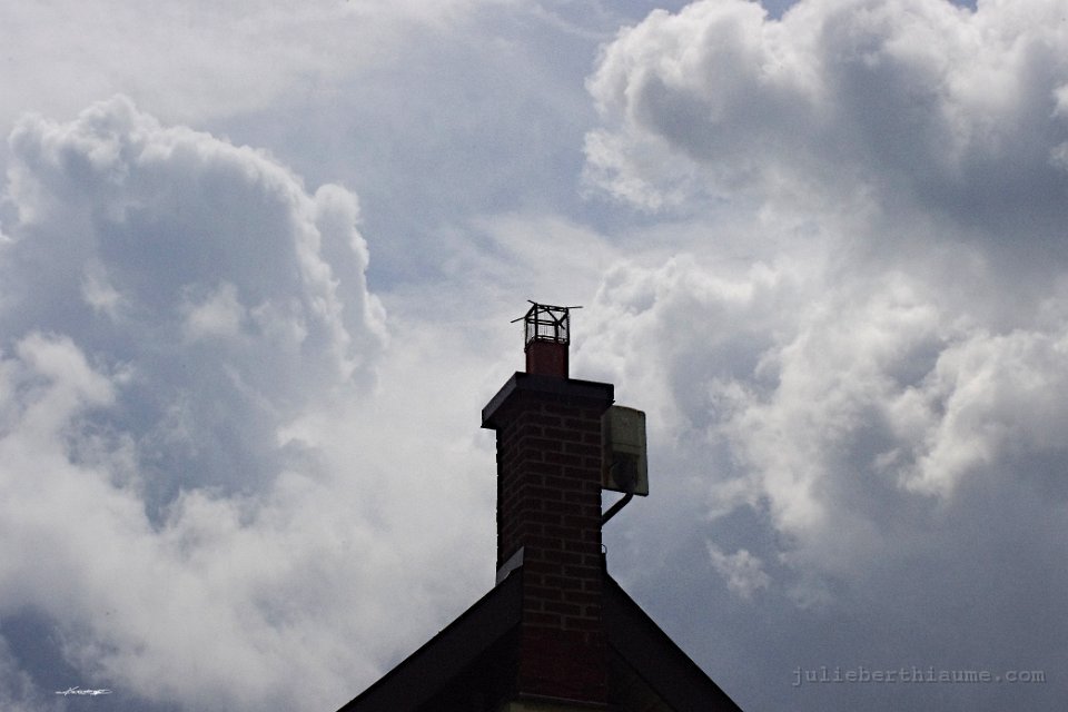 IMGP8936 mnuage