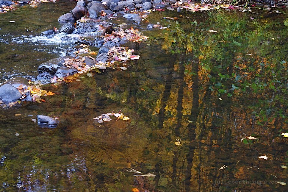 IMGP8474.automne