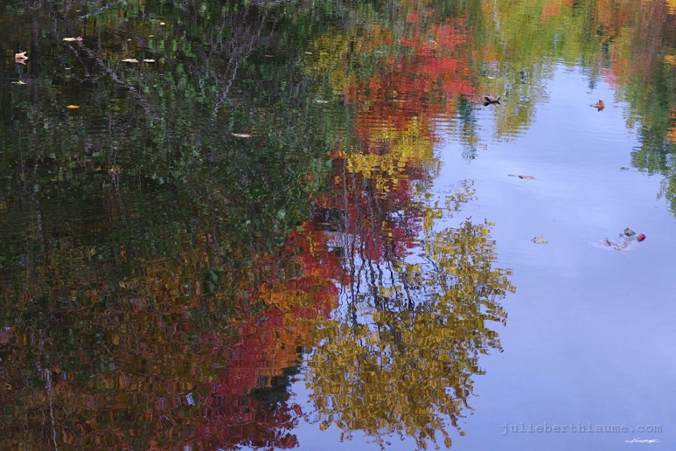 IMGP8487.automne
