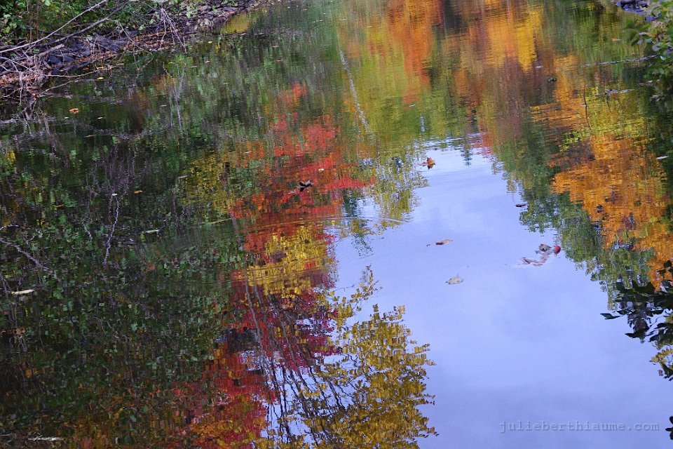 IMGP8489.automne