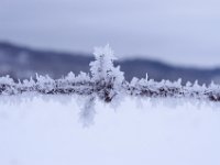 blanc-sur-blanc