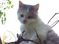 IMGP3795