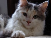IMGP5067
