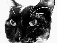 imgp3458-signee