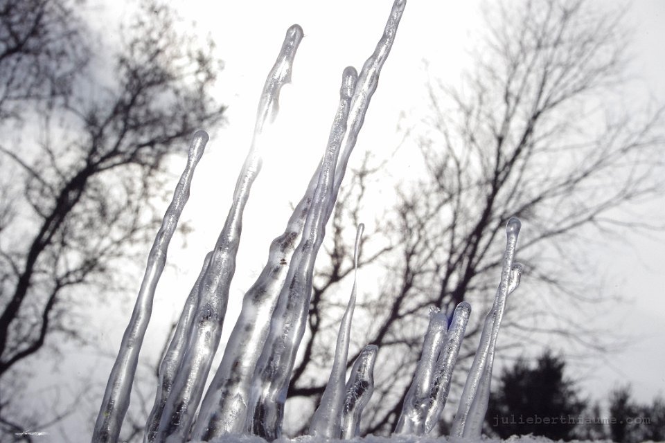 IMGP6141 glace