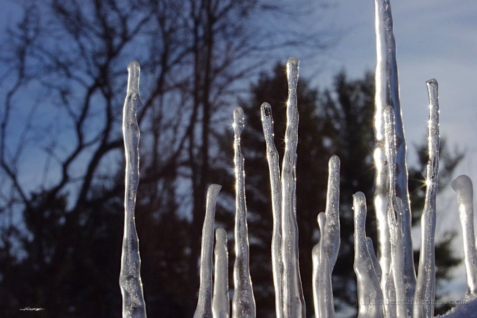 IMGP6317 glace