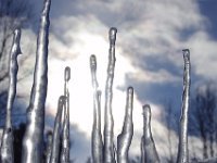 IMGP6213 glace