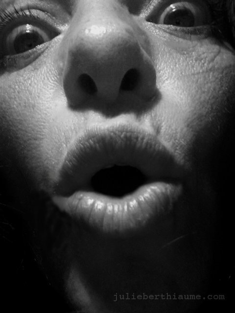 img1675-avrile
