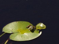IMGP9385.jpg