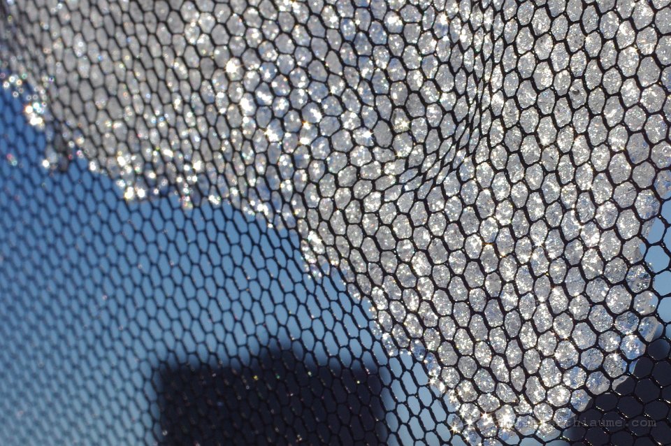 imgp0102 modifiée