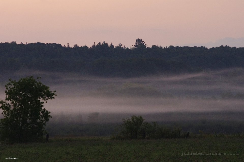IMGP2383 brume-du-matin