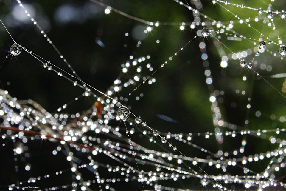 IMGP1391 toile-etoiles