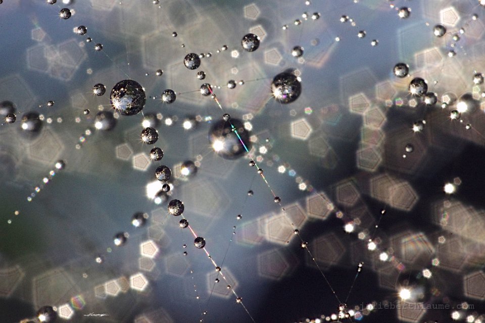 IMGP2678 toile-etoiles