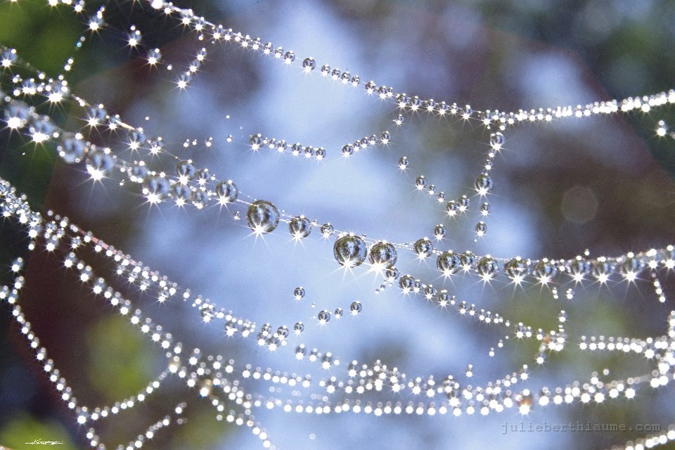 IMGP2876 toile-etoiles