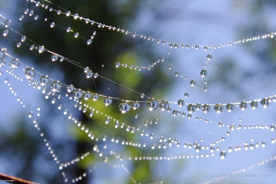 IMGP2891 toile-etoiles