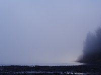 IMK50229